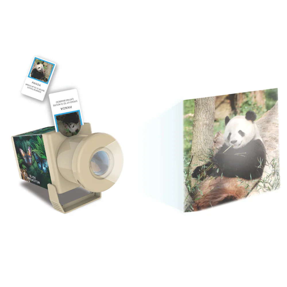 4M Kidz Labs Slide Projector - Wildlife - Image 2