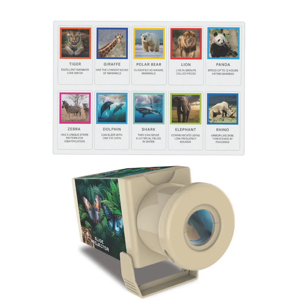 4M Kidz Labs Slide Projector - Wildlife - Image 3