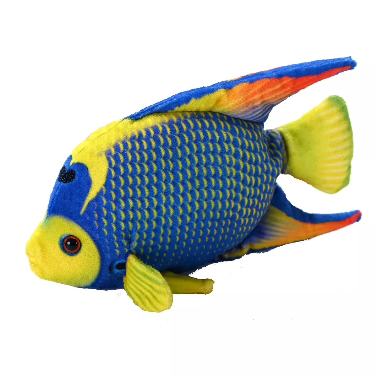 WR Coral Reef Queen Angelfish 6"