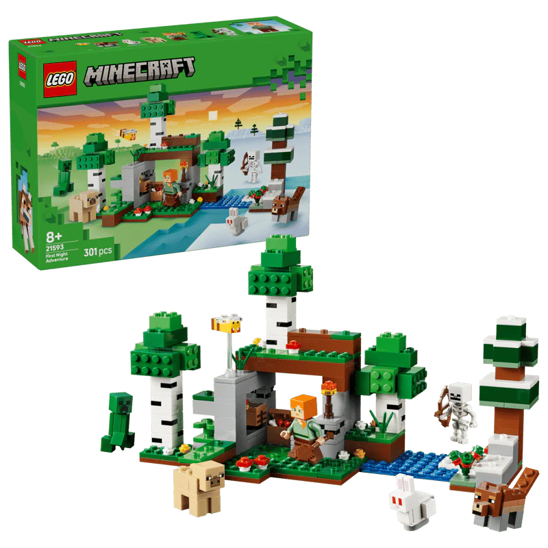 Lego MC First Night Adventure 21593