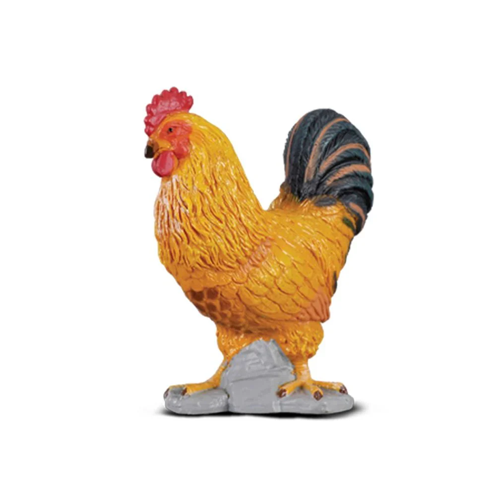 CO Cockerel (S)