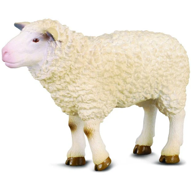 CO Sheep (M)