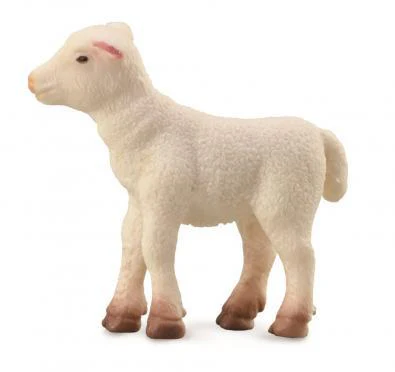 CO Lamb Standing (S)