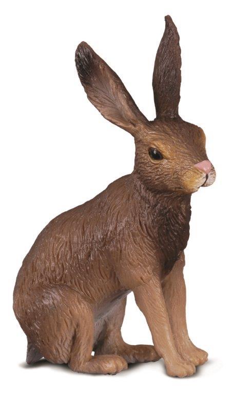 CO Brown Hare (S)