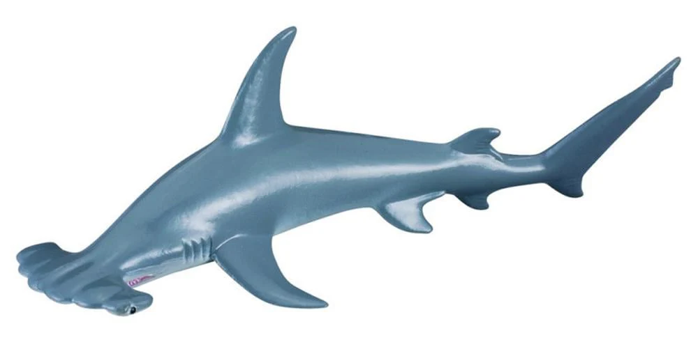 CO Hammerhead Shark (M)