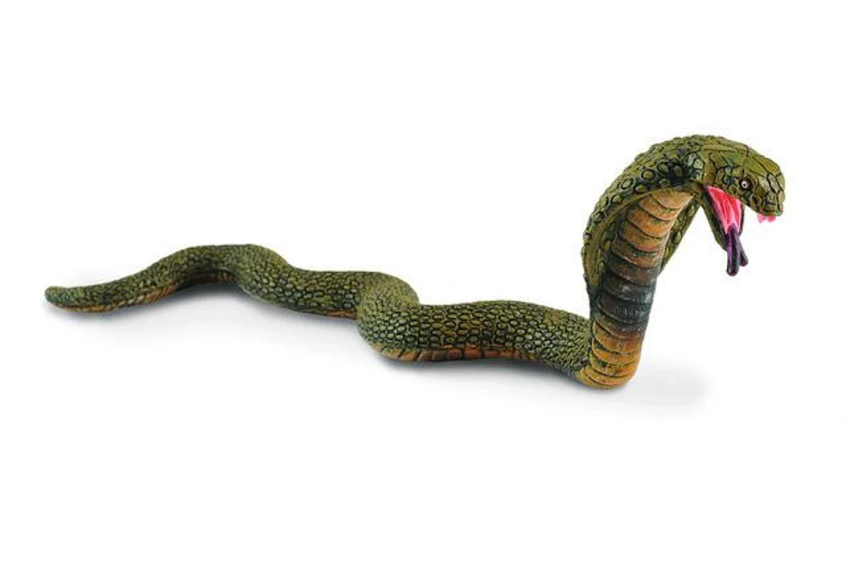 CO King Cobra (M)
