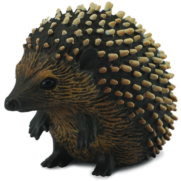 CO Hedgehog (S)
