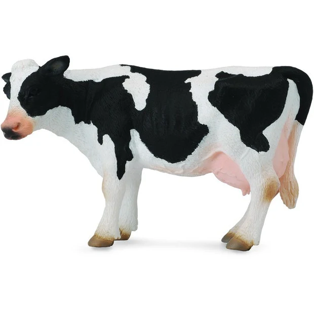 CO Friesian Cow (L)