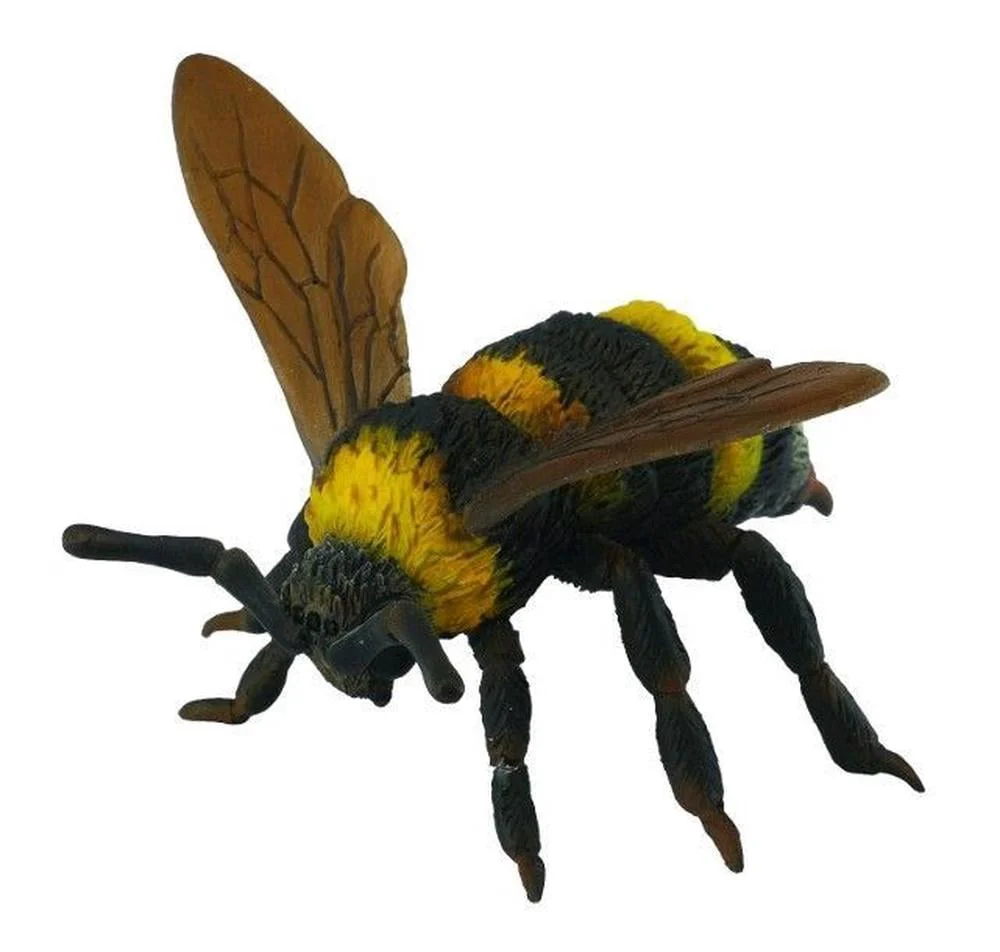 CO Bumblebee (L)