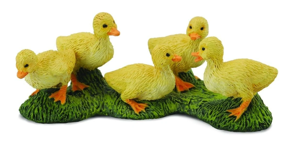 CO Ducklings (S)