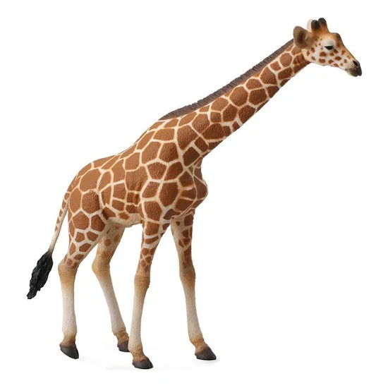 CO Reticulated Giraffe (XL)