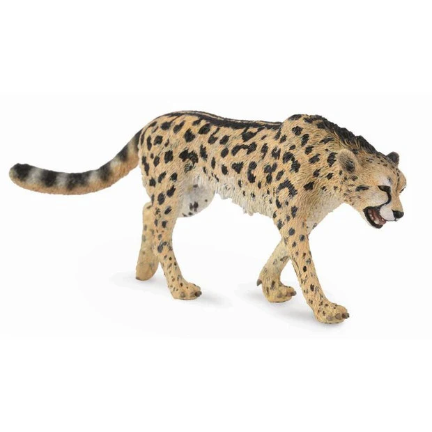 CO King Cheetah (L)