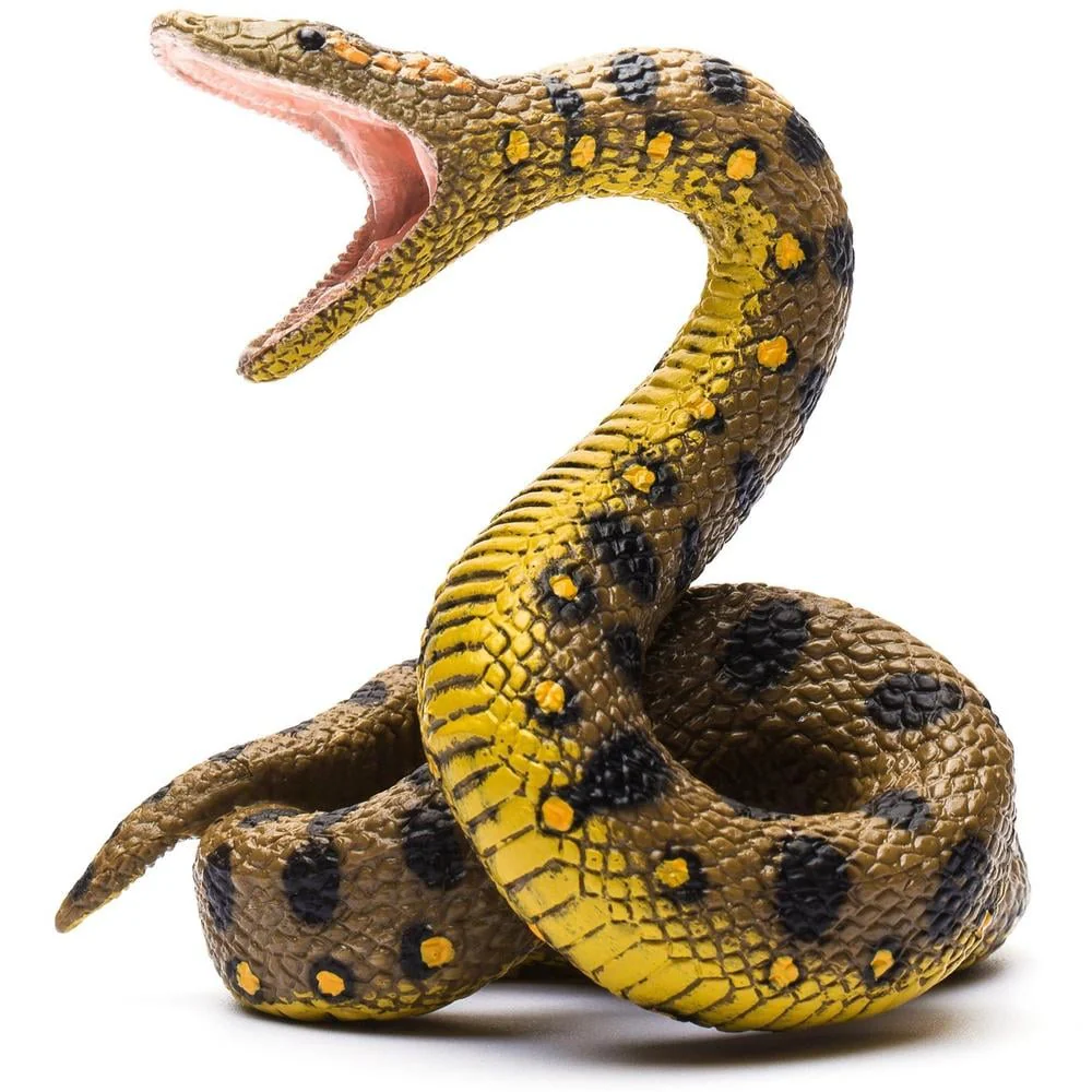 CO Green Anaconda (L)