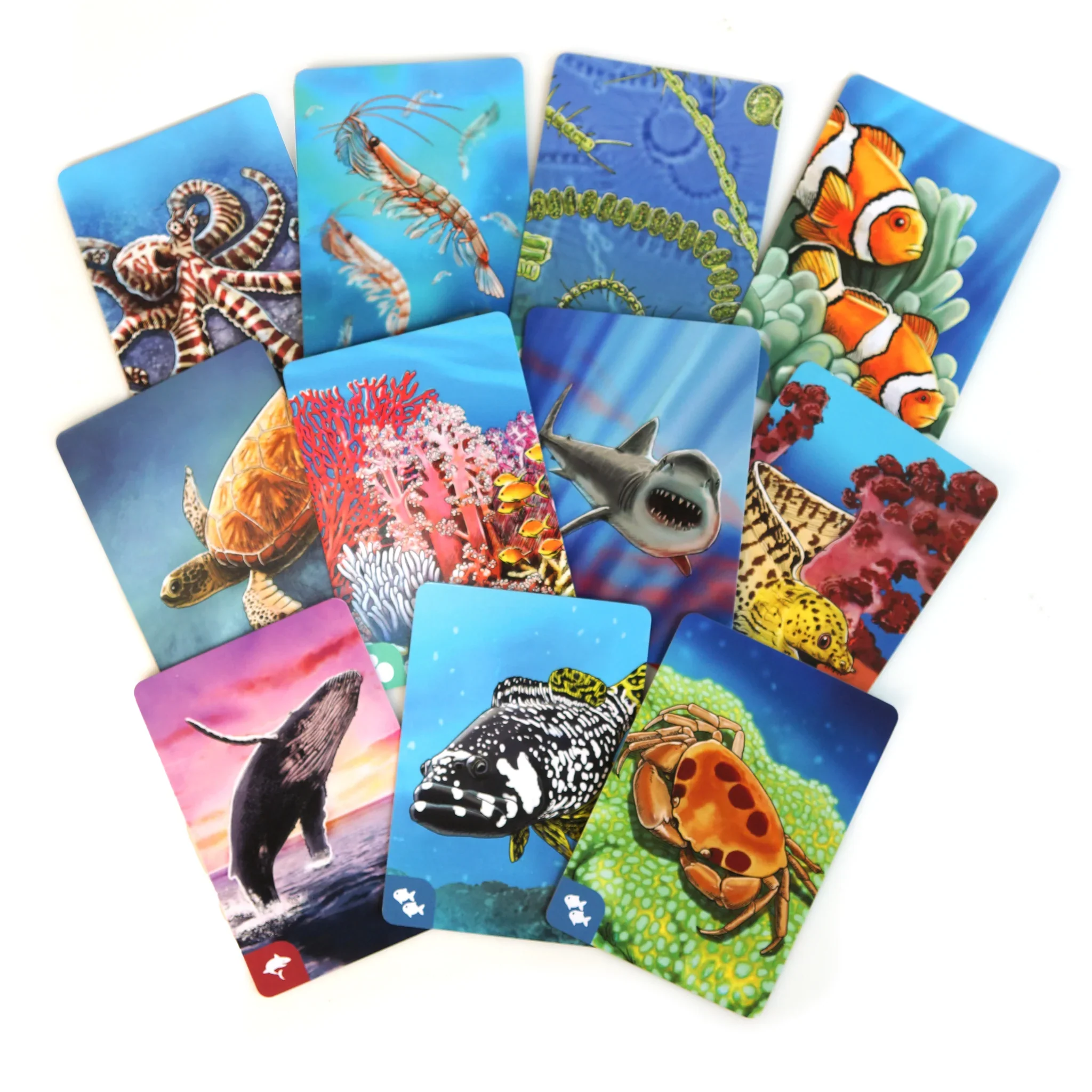 Ecosystem: Coral Reef - Image 3