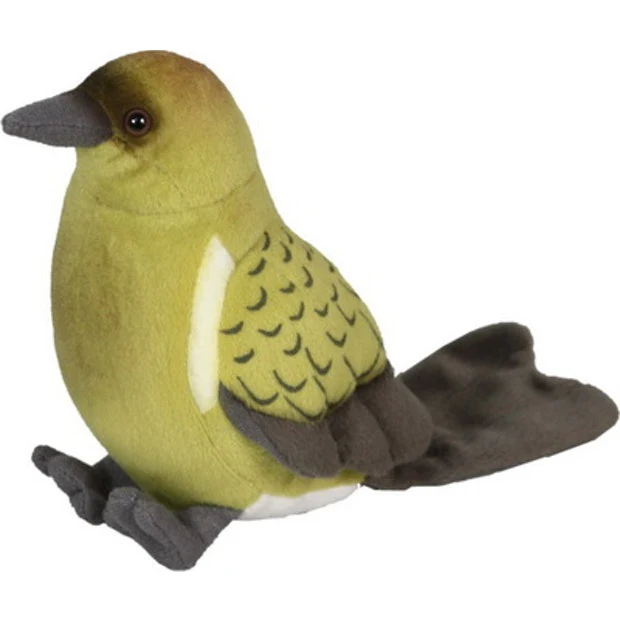 Bellbird Sound Bird