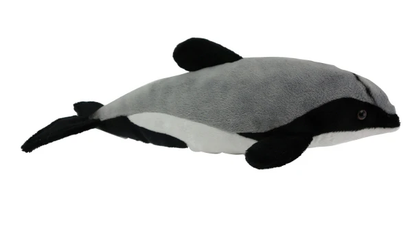 Hector Dolphin Sound