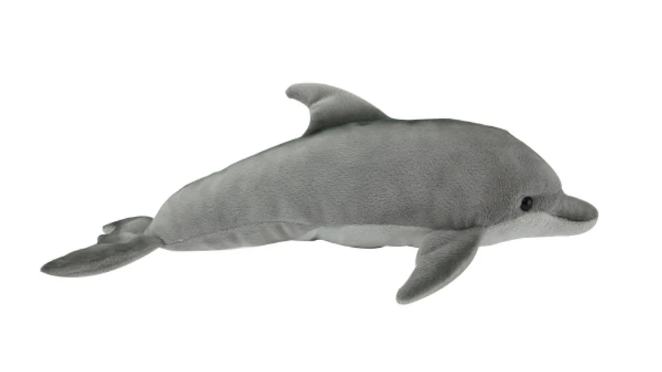 Dolphin Bottlenose Sound