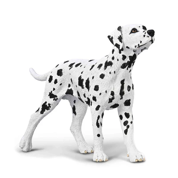 CO Dalmation (M)