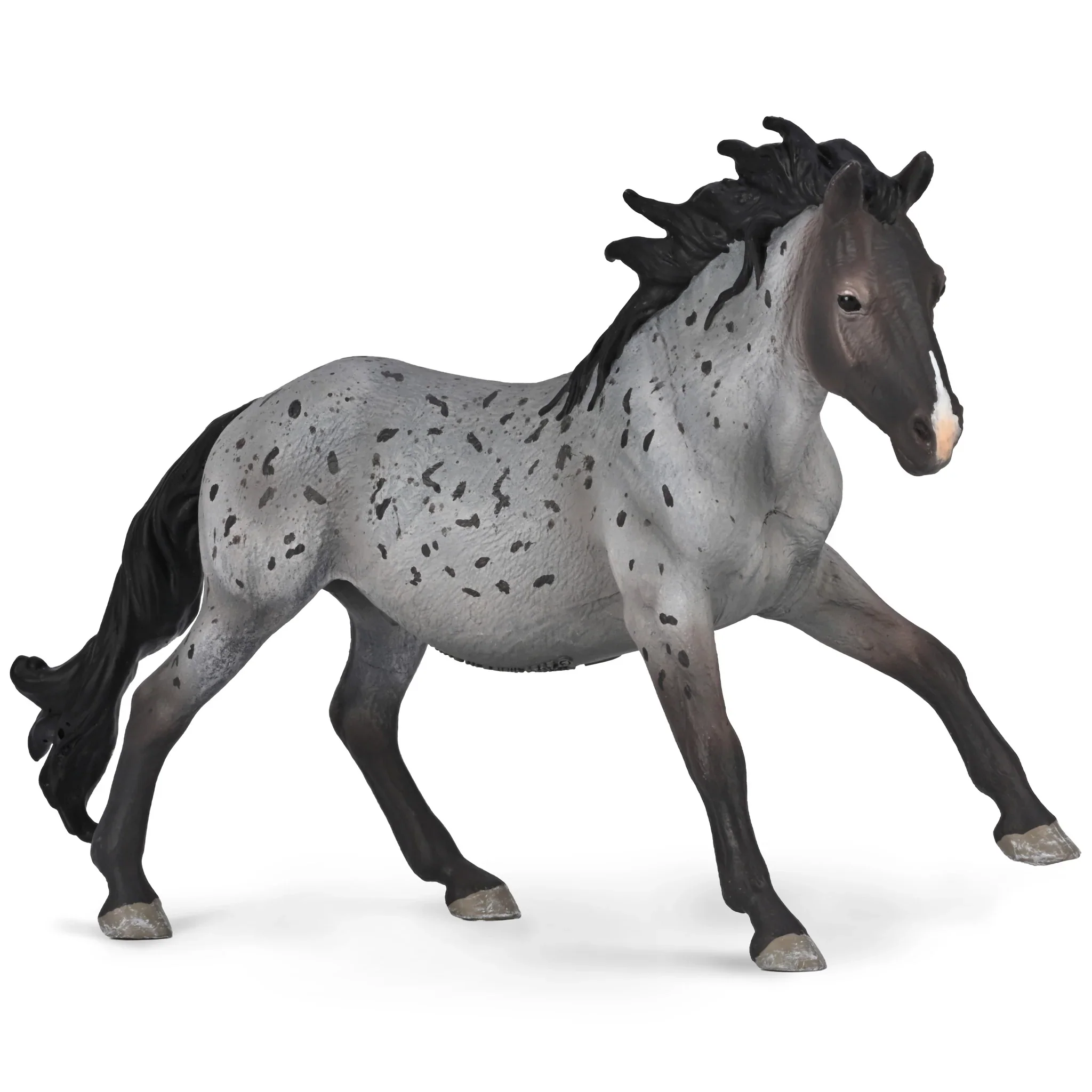 CO Nokota Stallion Blue Roan (XL)