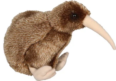 Kiwi Bird
