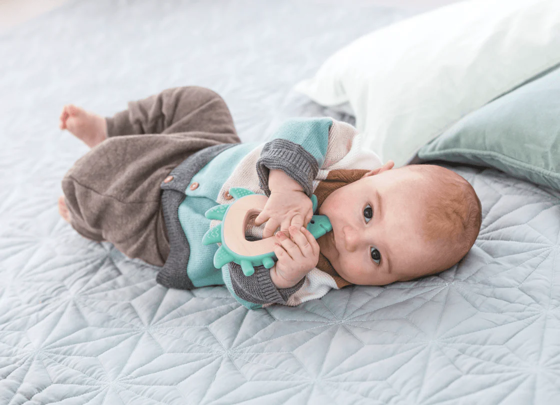 Hape Teether Hedgehog