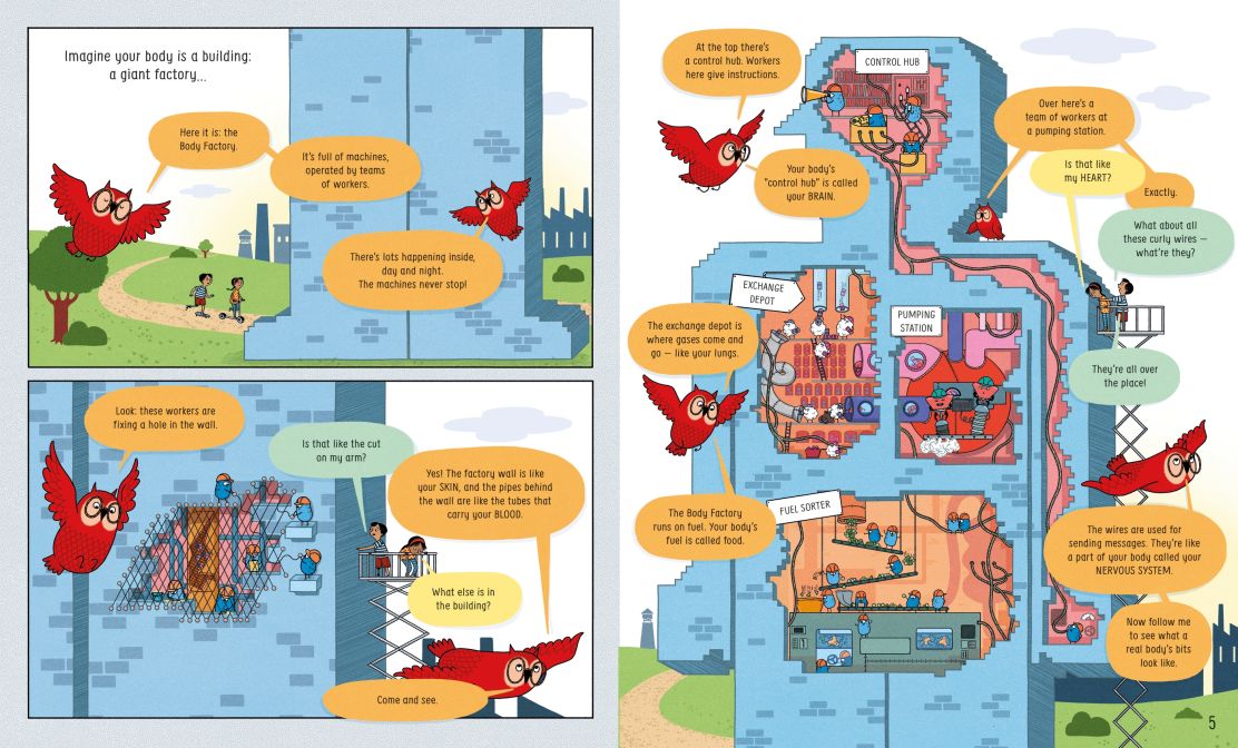 Body and How it Works - Image 2