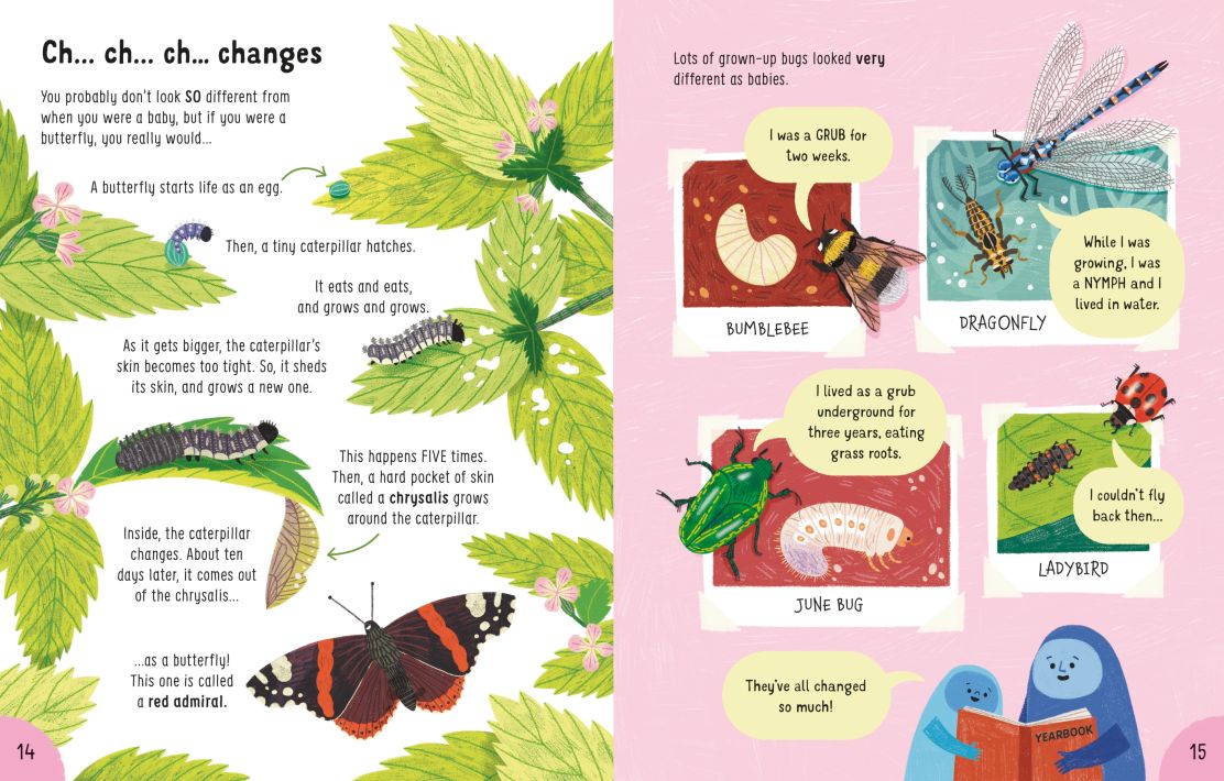 Lots of Things to Know About Bugs - Image 2