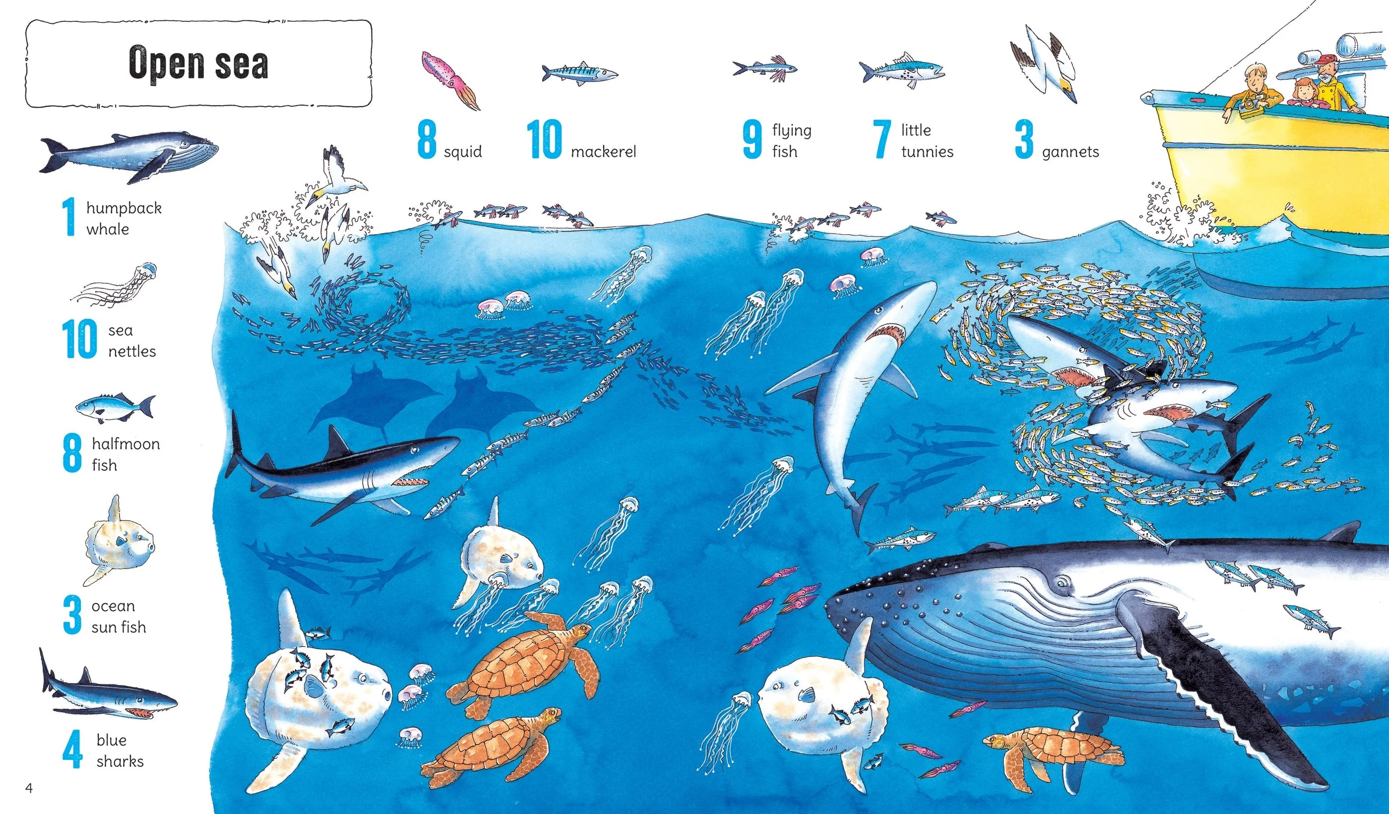 1001 Things To Spot In The Sea - Image 2