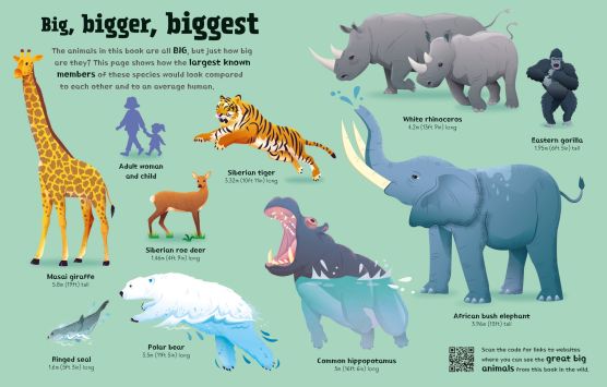 Great Big Animals with Great Big Flaps - Image 4