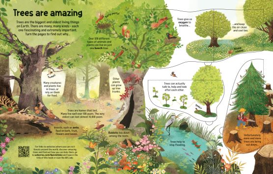 See Inside Trees - Image 2