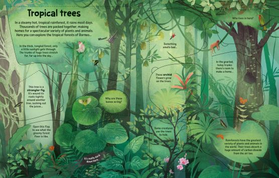 See Inside Trees - Image 3