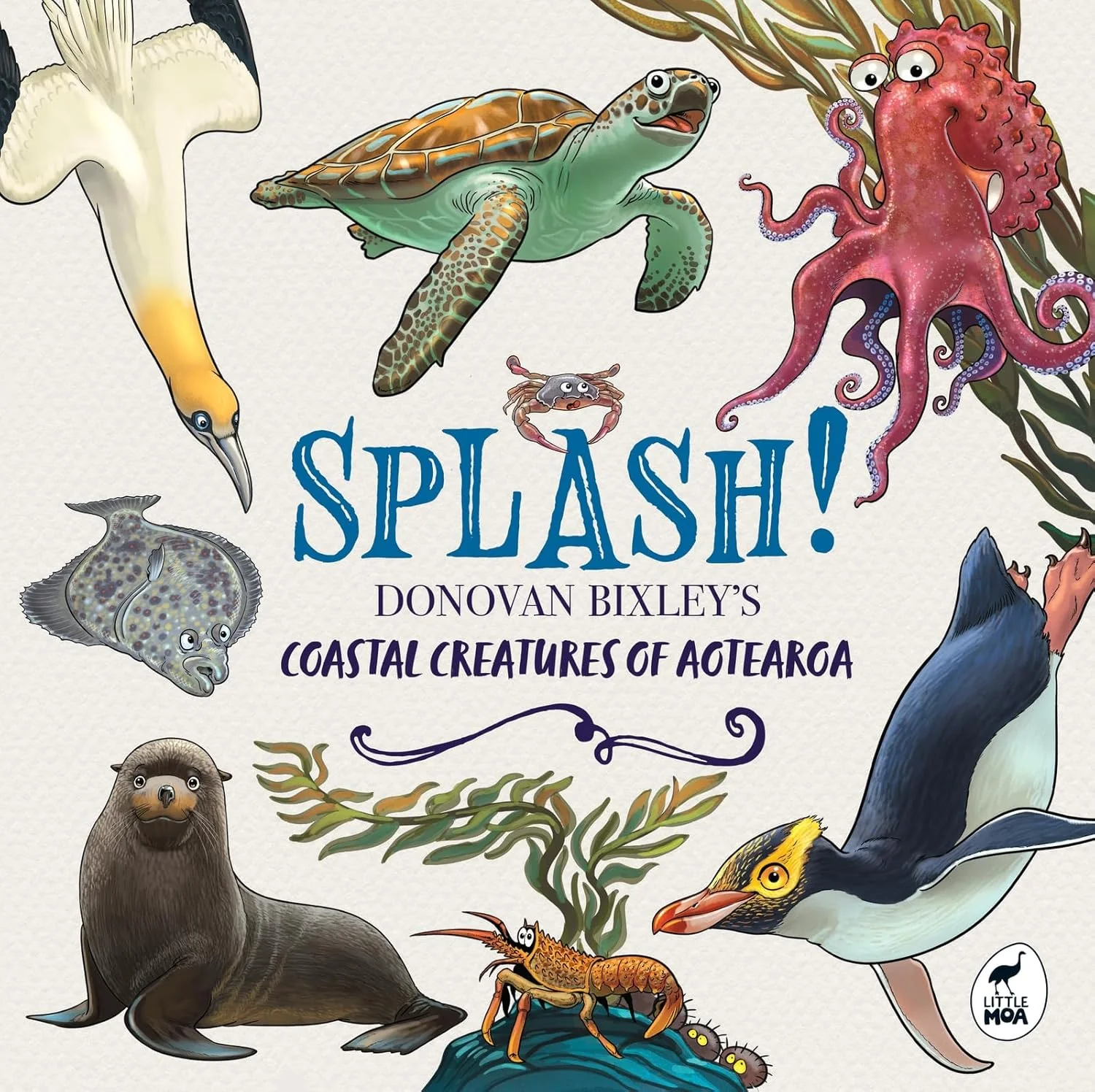 Splash