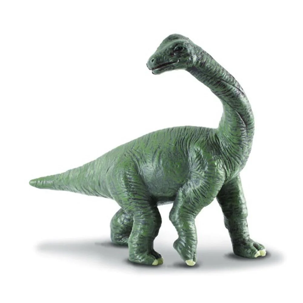 CO Brachiosaurus Baby (S)