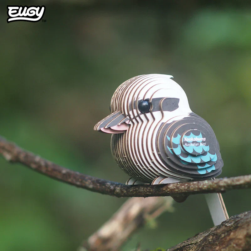 Eugy Kookaburra - Image 3