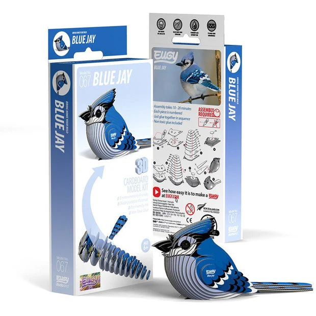 Eugy Blue Jay