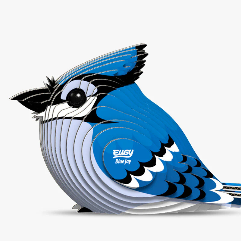 Eugy Blue Jay - Image 2