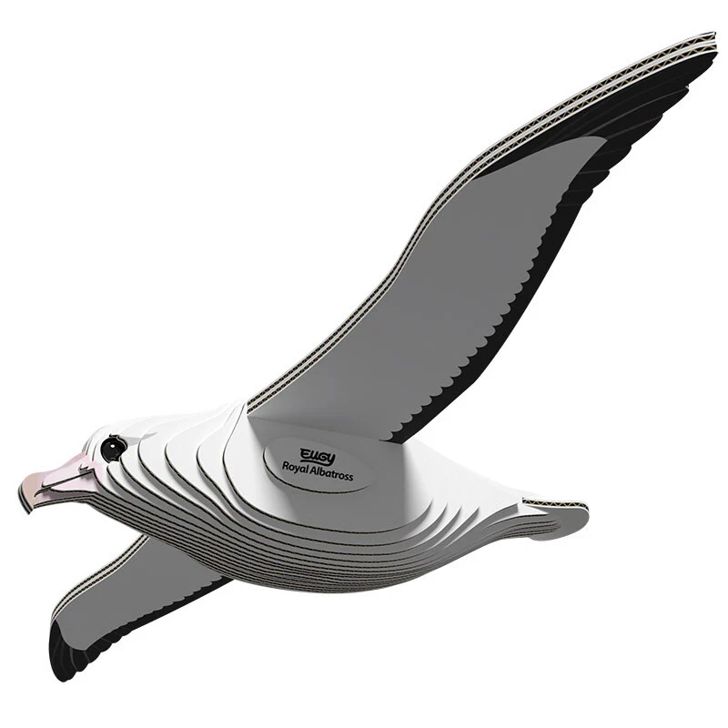 Eugy Royal Albatross - Image 2