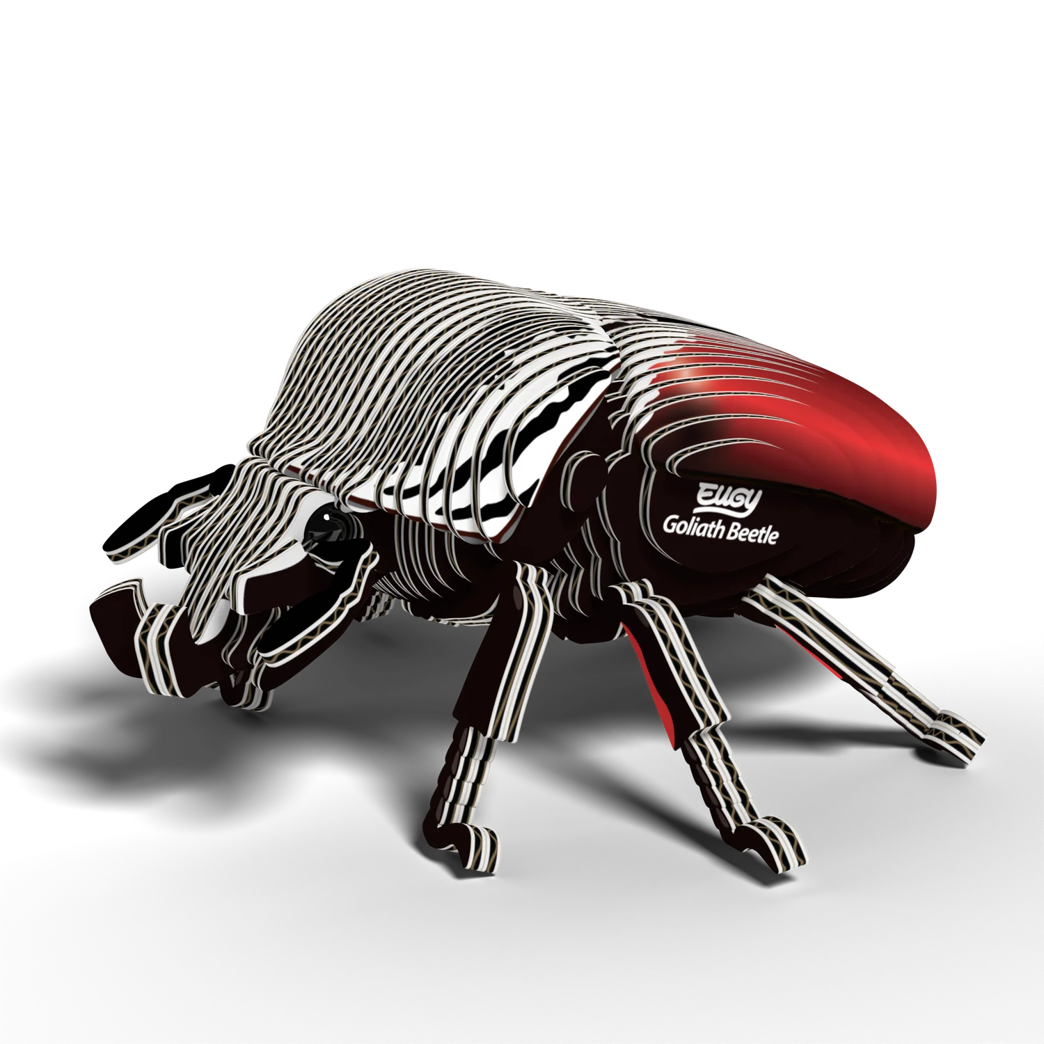 Eugy Beetle Goliath - Image 2