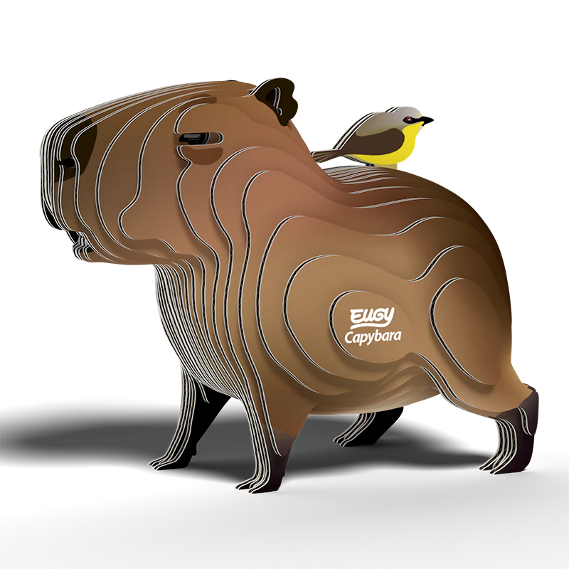 Eugy Capybara - Image 2