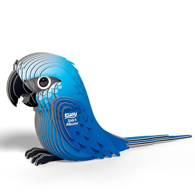 Eugy Spix's Macaw - Image 2