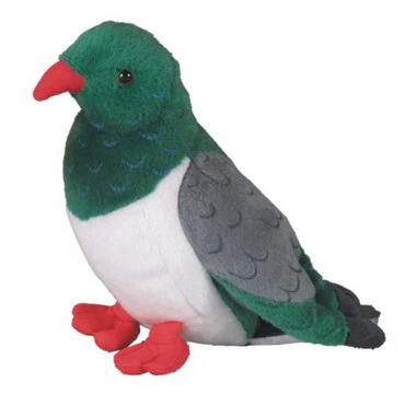 Kereru Wood Pigeon