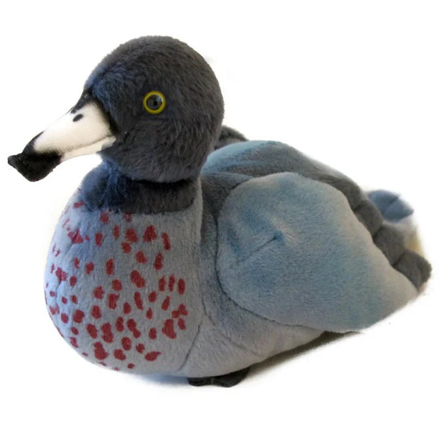 NZ Blue Duck Sound Bird