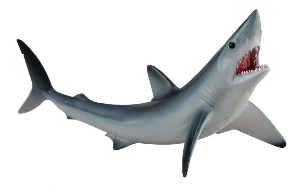 CO Mako (M)