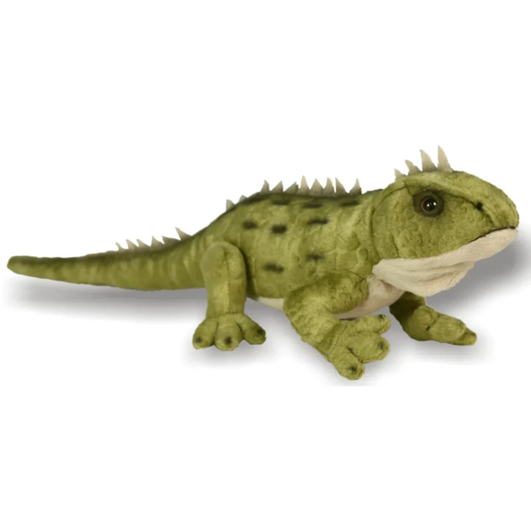 Tuatara 37cm