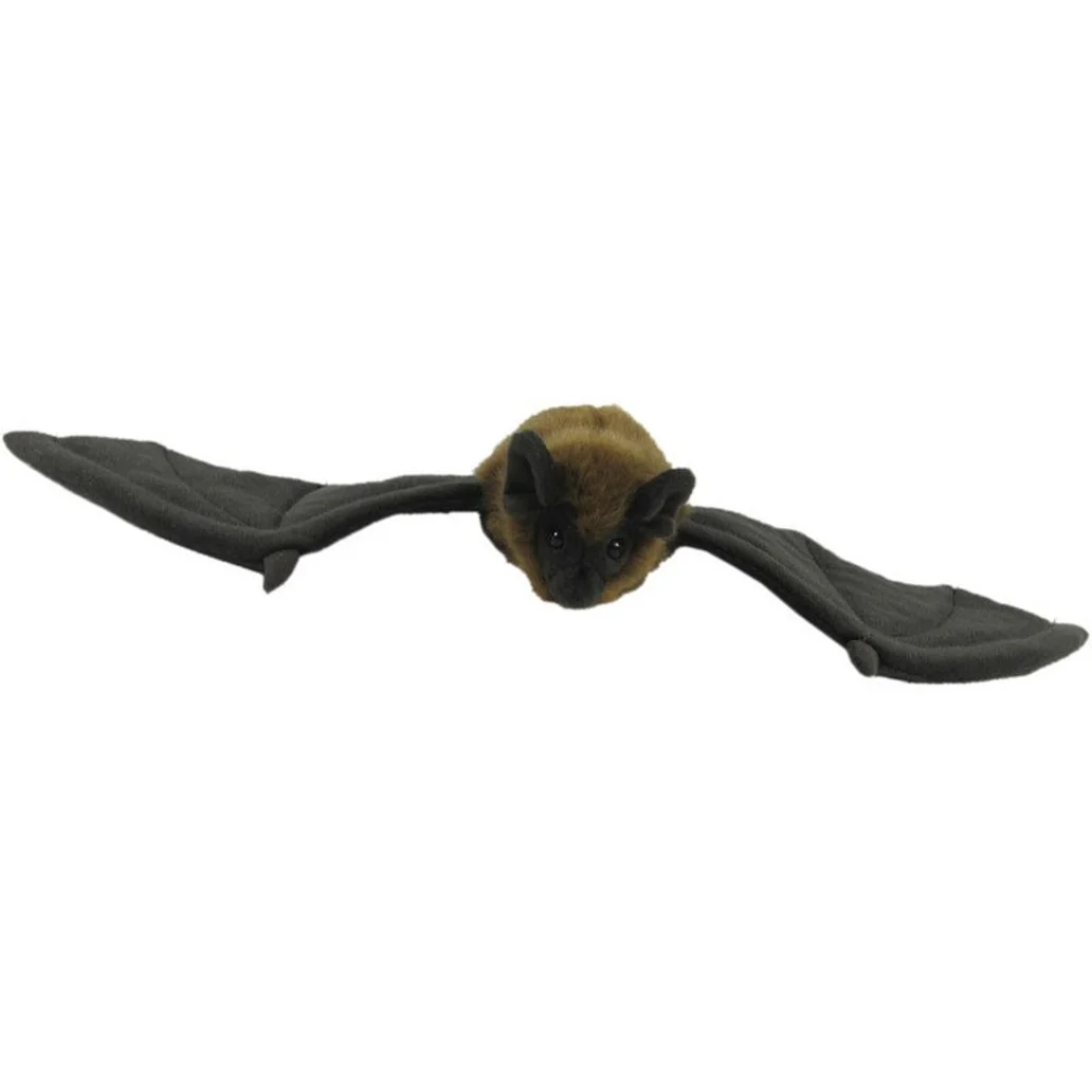 Long Tailed Bat