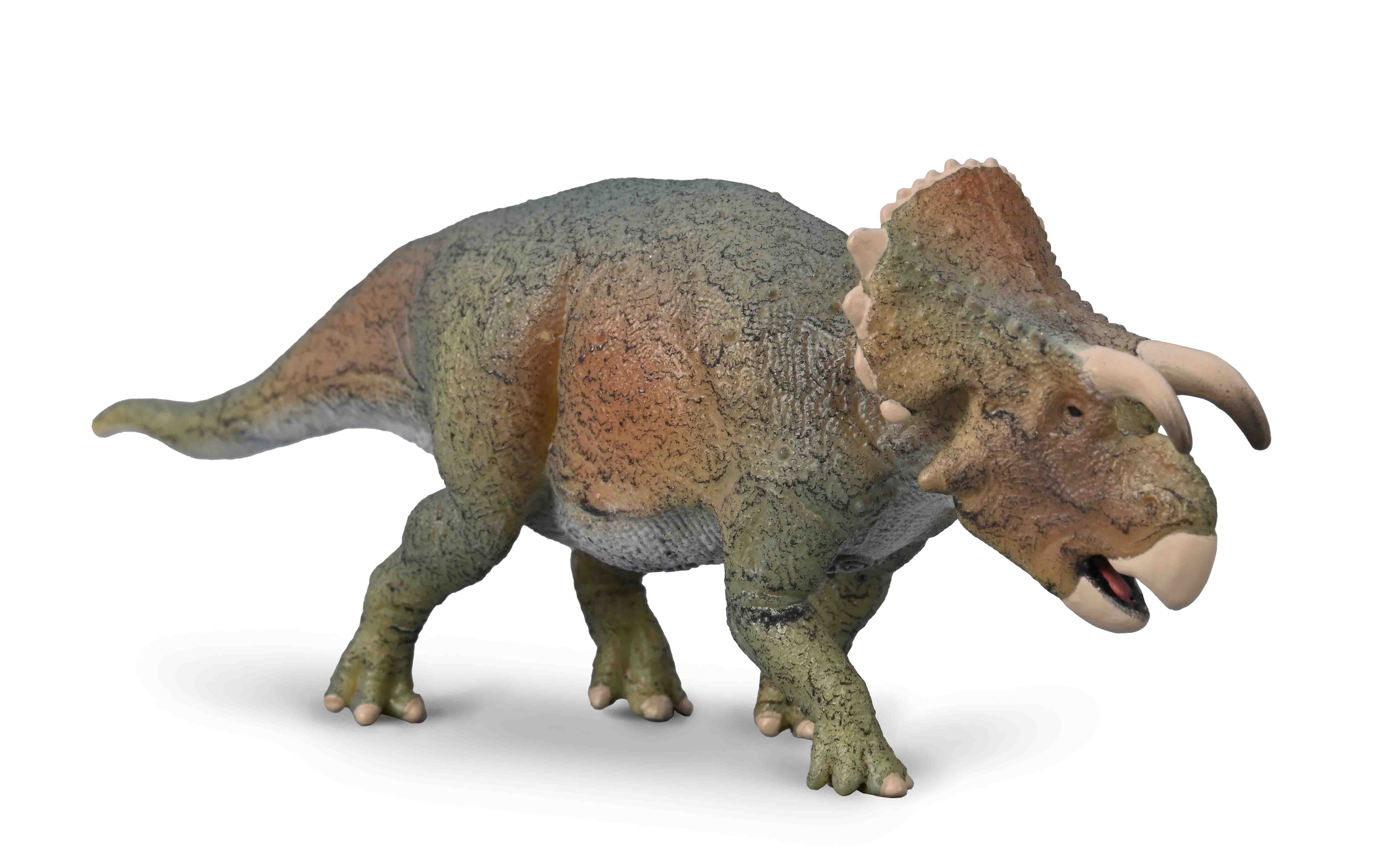 CO Furcatoceratops (M)