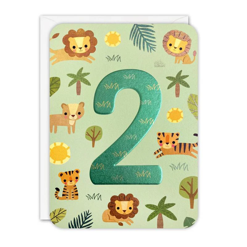 Age 2 Animals Boy