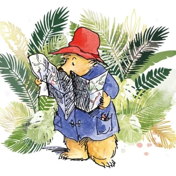 Paddington In Peru