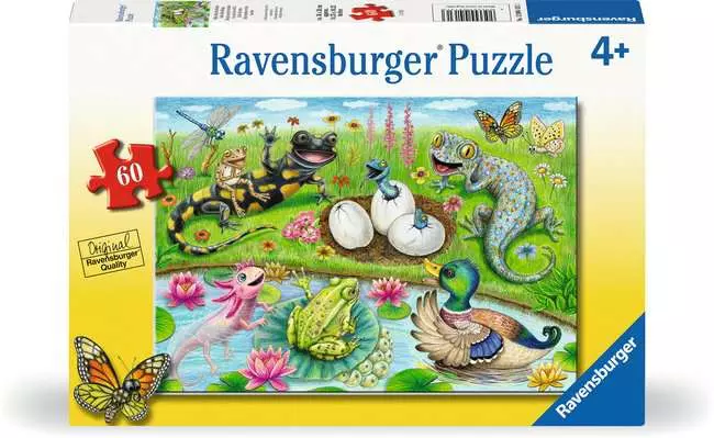 RB Hello Hatchlings 60pc
