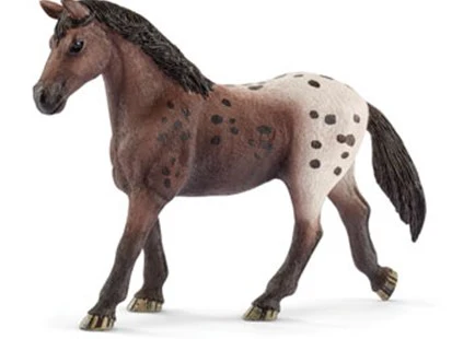 SC Appaloosa Mare (Grey Dot)